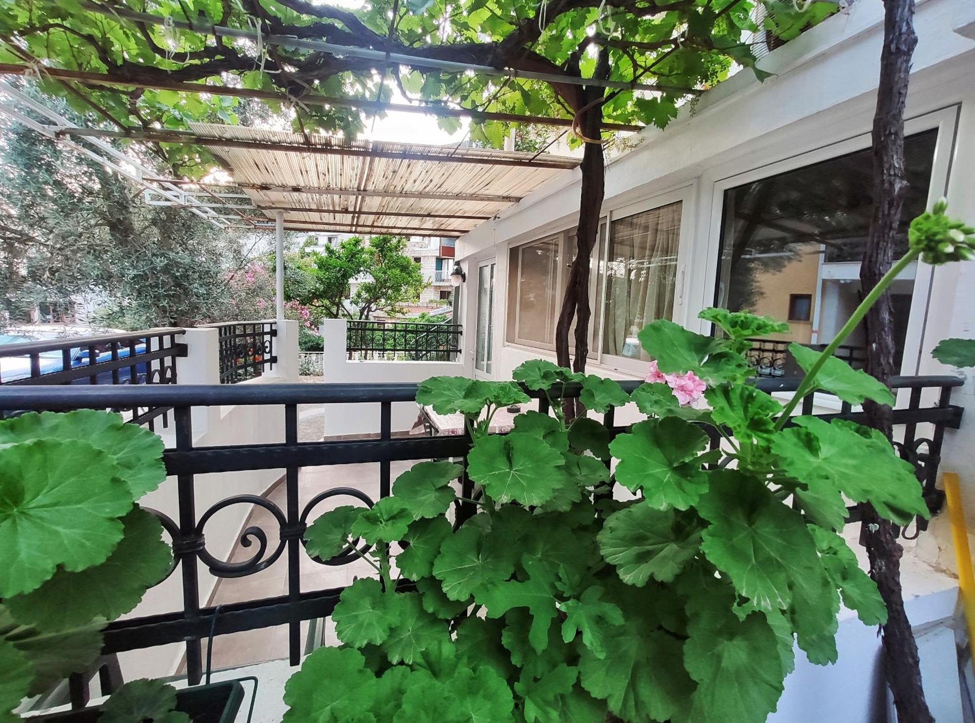 Apartments Gvozdenovic Petrovac Екстер'єр фото